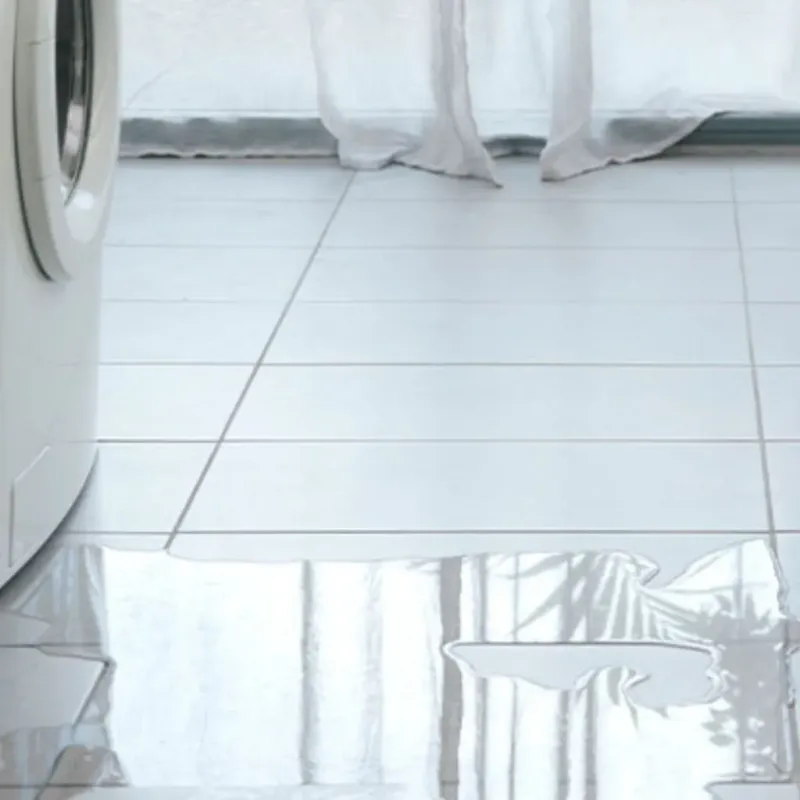 Appliance Leak Cleanup in Petaluma, CA