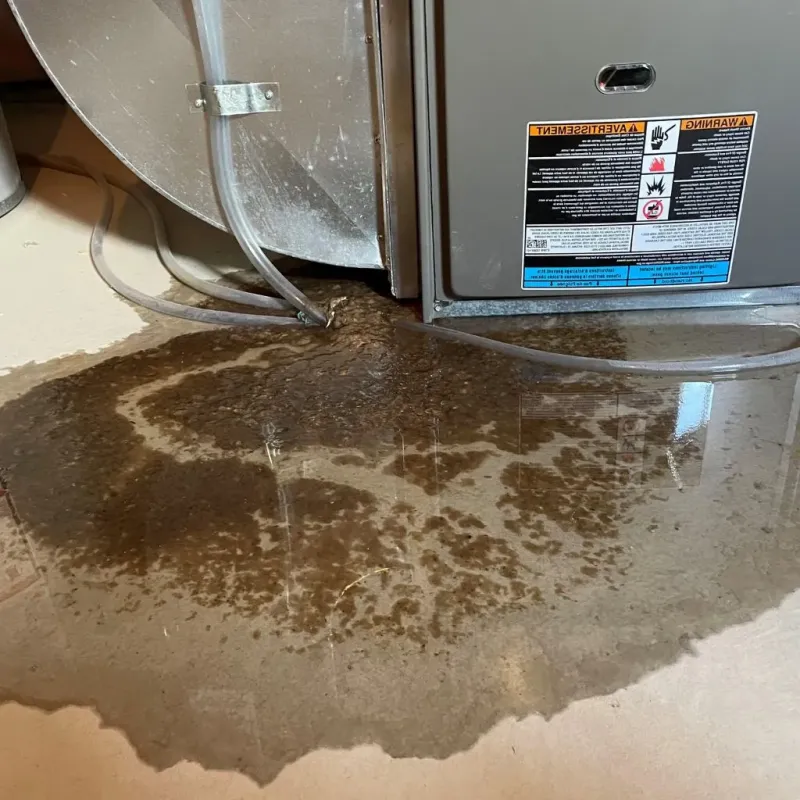 Pipe Burst and Leak Restoration in Petaluma, CA